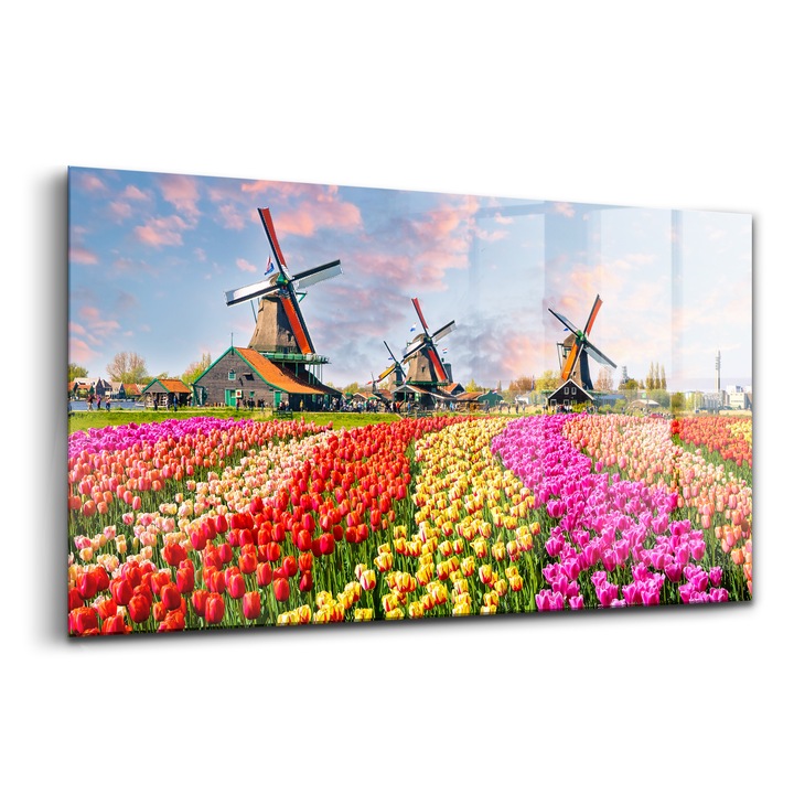 Festmény, Wallfluent, Üveg, Holland Táj tulipánokkal, Piros, 120x60 cm