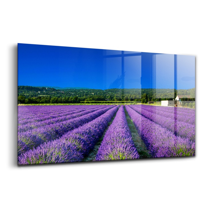 Festmény, Falfluent, Üveg, Levendula mező Provence-ban, Ibolya, 120x60 cm