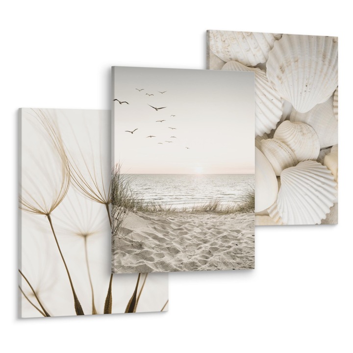 Set 3 Tablouri Decorative Peisaj cu marea, Scoici, Seminte de papadie 90x40cm: 3 piese 30x40cm