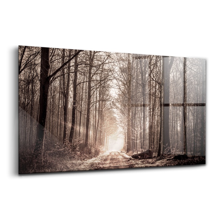 Tablou, Wallfluent, Sticla, Calea Padurii In Culori Sepia, Maro, 140x70 cm