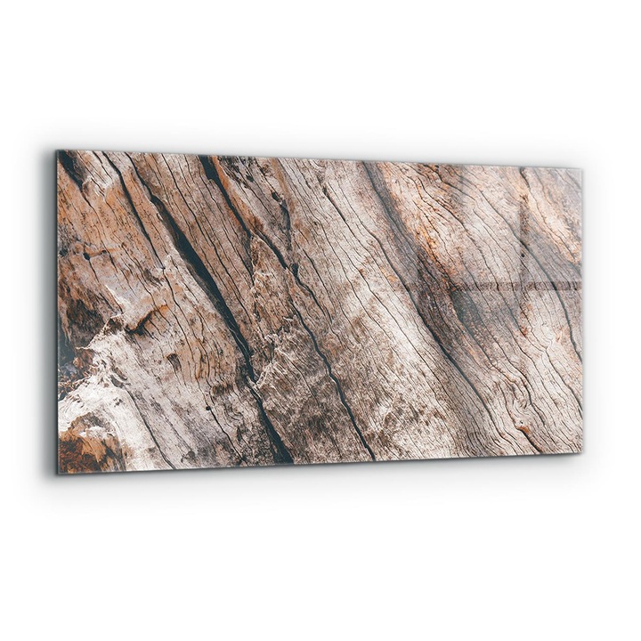 Panou decorativ, Wallfluent, Sticla, Textura Trunchiului Scoartei De Copac, Multicolor, 100x50 cm, 010010510010000077260