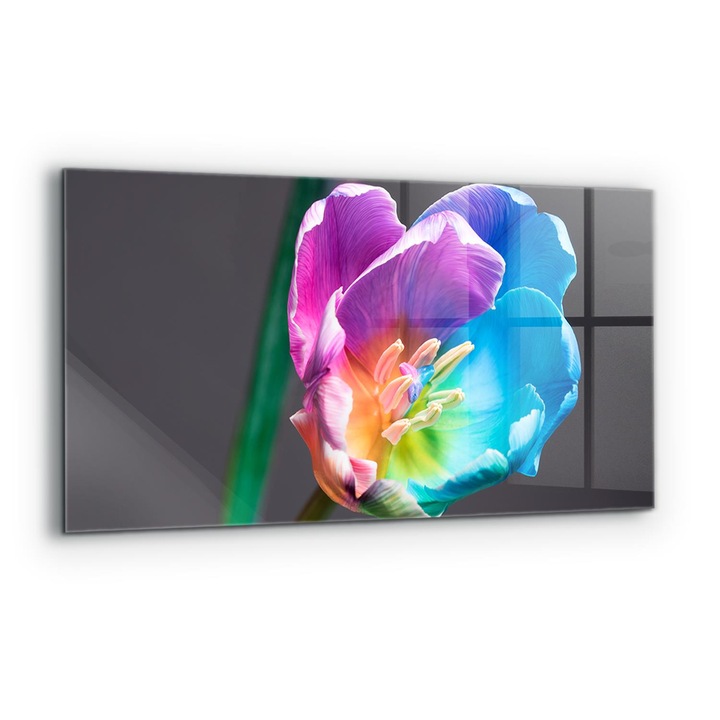 Dekoratív panel, Wallfluent, Üveg, Színes Szivárvány Virág, Többszínű, 120x60 cm, 010010510050000077268