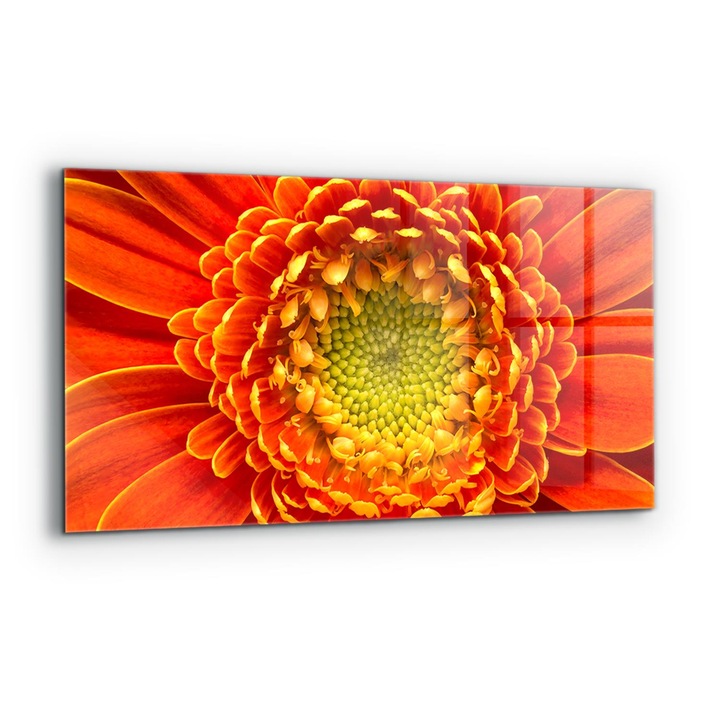 Dekoratív panel, Wallfluent, Üveg, Narancssárga Gerbera Virág, Többszínű, 140x70 cm, 010010510080000077285