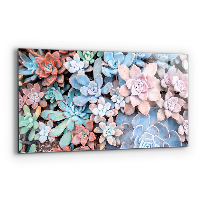 Dekoratív panel, Wallfluent, Üveg, Színes pozsgások, Többszínű, 140x70 cm, 010010510080000077278