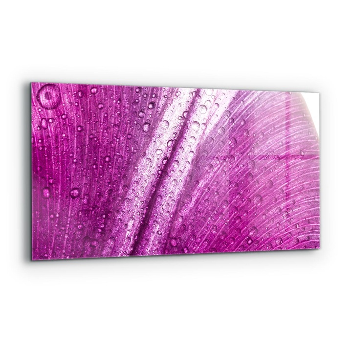 Dekoratív panel, Wallfluent, Üveg, Finom rózsaszín levél, Többszínű, 140x70 cm, 010010510080000077389