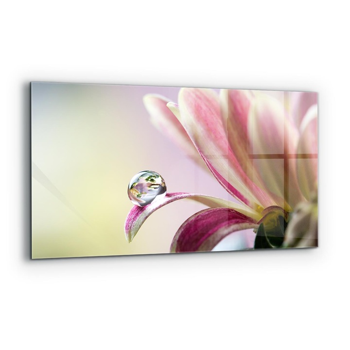 Dekoratív panel, Wallfluent, Üveg, Virág hajnali harmatcseppel, Többszínű, 100x50 cm, 010010510010000077145