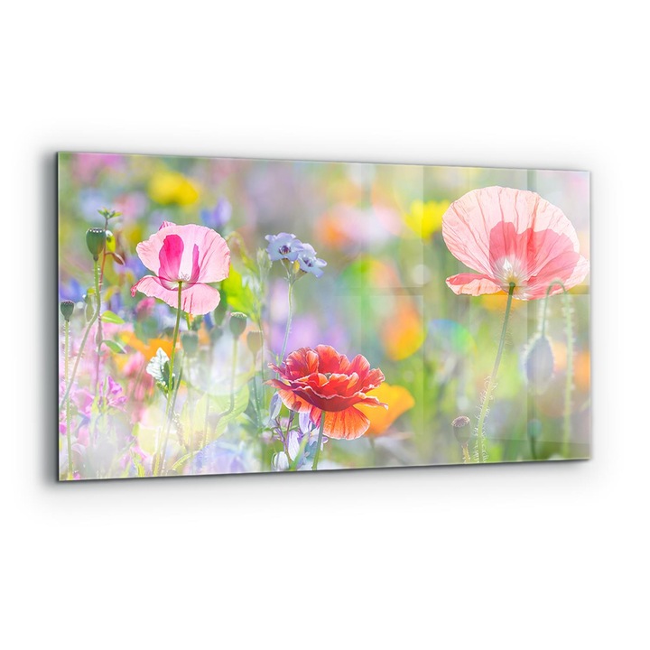 Dekoratív panel, Wallfluent, Üveg, Nyári Pipacsrét, Többszínű, 140x70 cm, 010010510080000077196