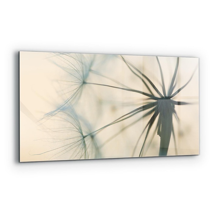 Dekoratív panel, Wallfluent, Üveg, Gyönyörű Finom Pitypang, Többszínű, 140x70 cm, 010010510080000077362