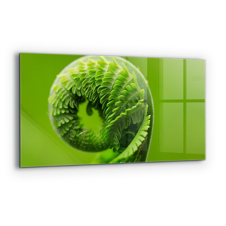 Panou decorativ, Wallfluent, Sticla, Frunza De Feriga Verde, Multicolor, 140x70 cm, 010010510080000077296