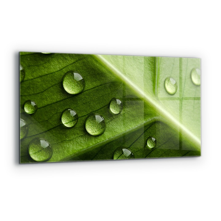 Dekoratív panel, Wallfluent, Üveg, Levél reggeli harmatcseppekkel, Többszínű, 140x70 cm, 010010510080000077162