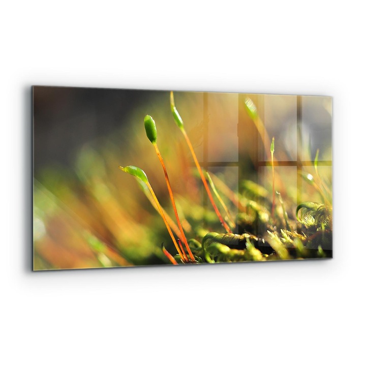Dekoratív panel, Wallfluent, Üveg, Moha Részletek, Többszínű, 140x70 cm, 010010510080000077240