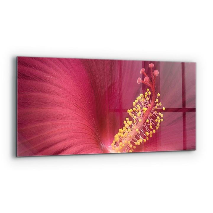 Dekoratív panel, Wallfluent, Üveg, Hibiscus Pink, Többszínű, 125x50 cm, 010010510070000077280