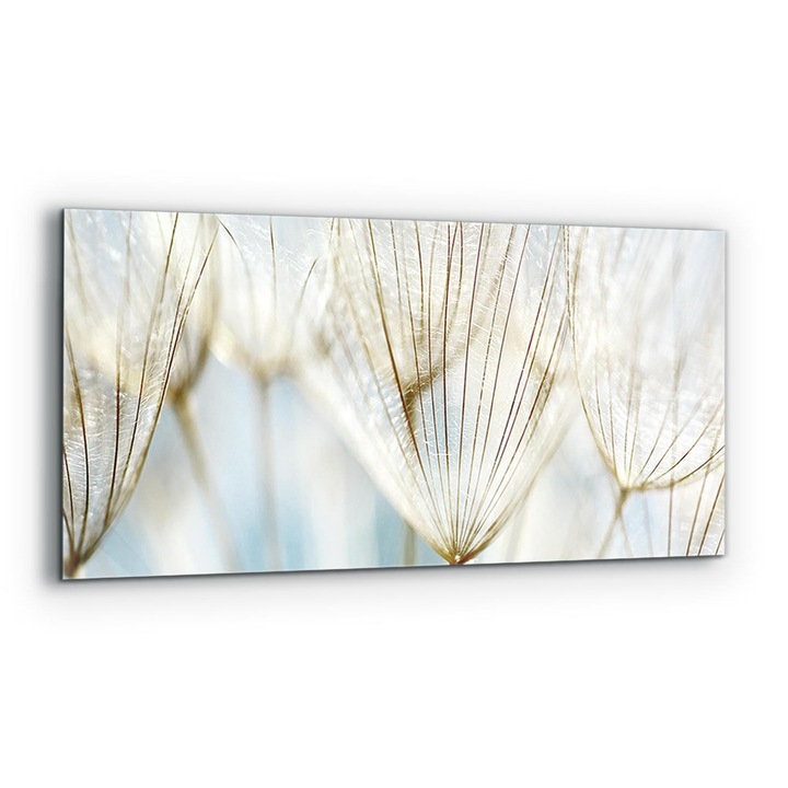 Dekoratív panel, Wallfluent, Üveg, Pitypang a szélben, Többszínű, 125x50 cm, 010010510070000026368