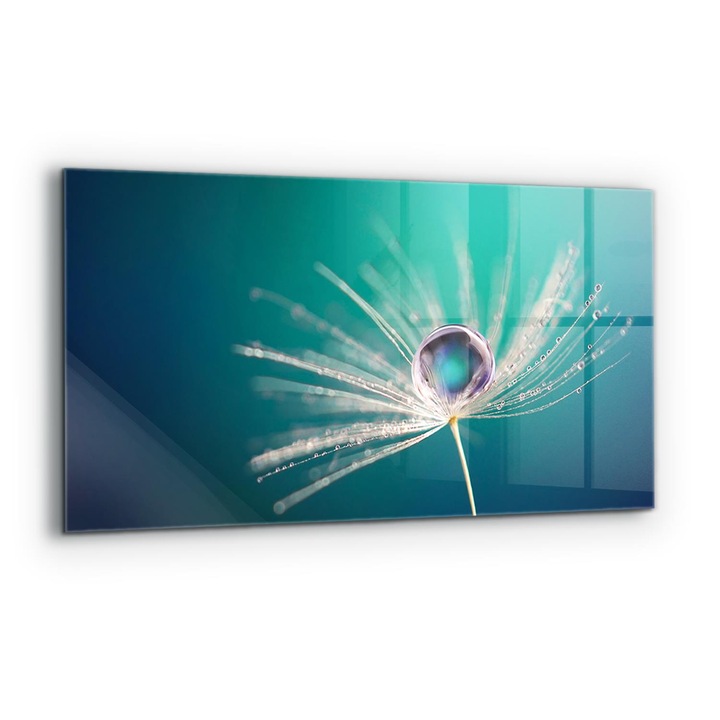 Dekoratív panel, Wallfluent, Üveg, Pitypang Harmatcseppel, Többszínű, 140x70 cm, 010010510080000077398