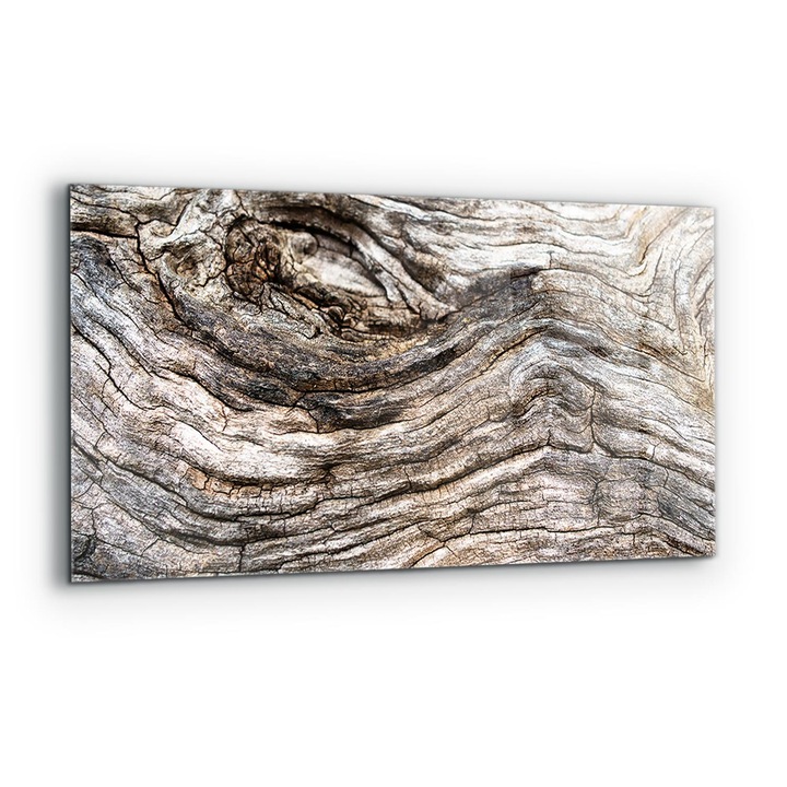 Dekoratív panel, Wallfluent, Üveg, Fakéreg törzs, Többszínű, 140x70 cm, 010010510080000077189