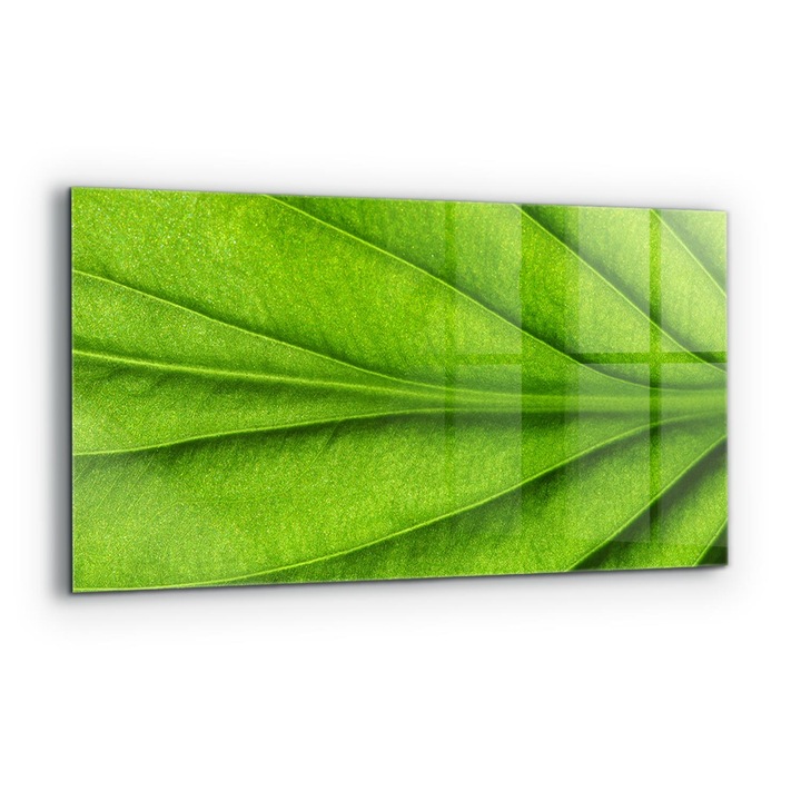 Dekoratív panel, Wallfluent, Üveg, Zöld Levél Részletek, Többszínű, 140x70 cm, 010010510080000077211