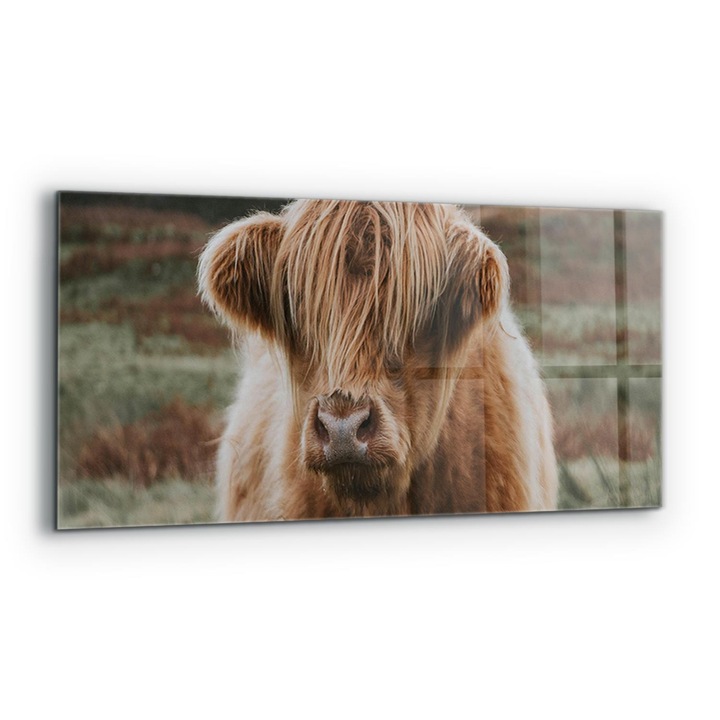 Dekoratív panel, Wallfluent, Üveg, Cow Highland Style House, Többszínű, 125x50 cm, 010010510070000077418