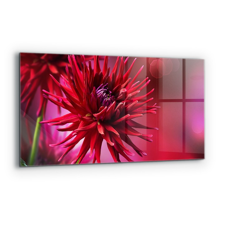 Dekoratív panel, Wallfluent, Üveg, Piros Dália virág, Többszínű, 140x70 cm, 010010510080000077152