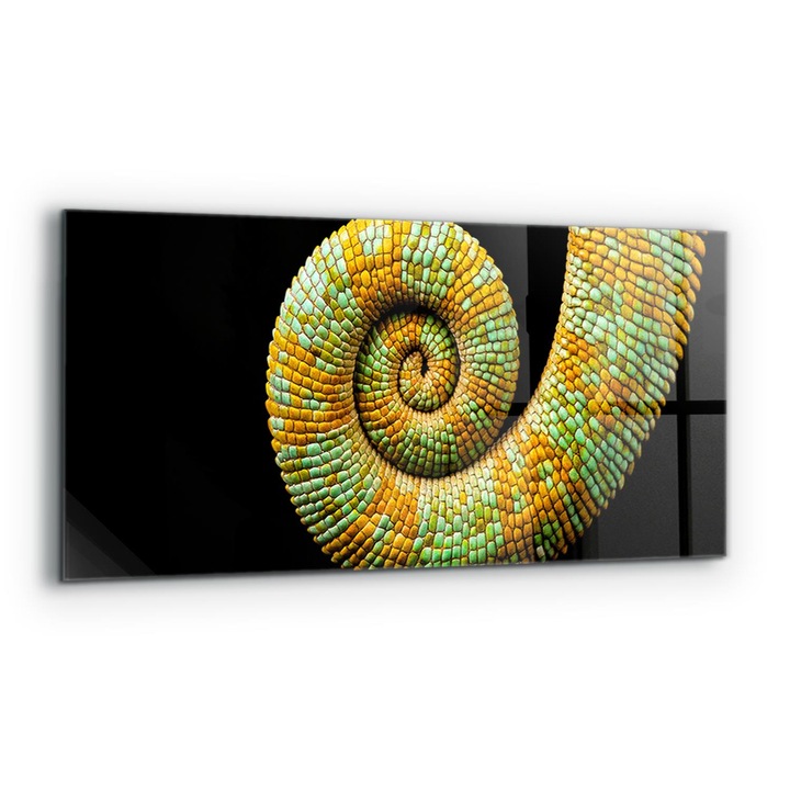 Dekoratív panel, Wallfluent, Üveg, Tail of Nature's Chameleon, Többszínű, 125x50 cm, 010010510070000077190