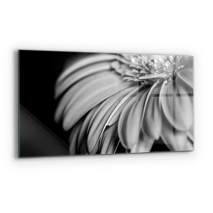 Dekoratív panel, Wallfluent, Üveg, Gerber Fekete-fehér fotó, Többszínű, 140x70 cm, 010010510080000077350