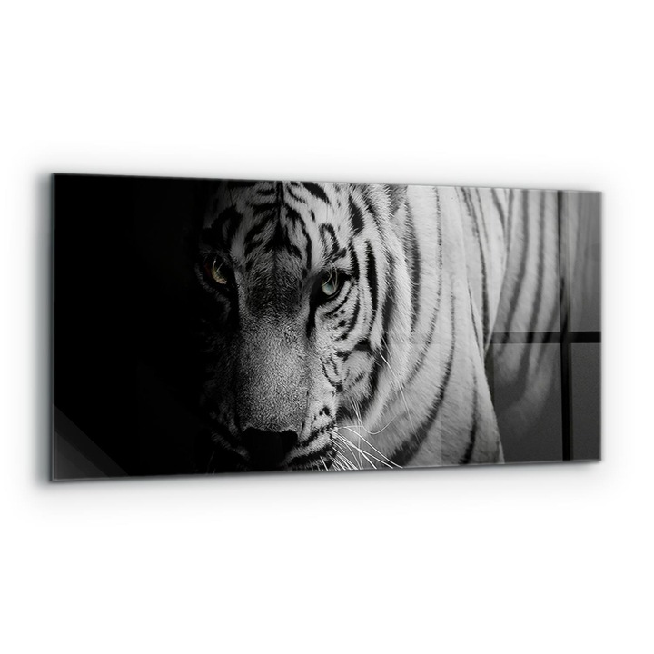 Dekoratív panel, Wallfluent, Üveg, Fehér Szibériai Tigris, Többszínű, 125x50 cm, 010010510070000045101