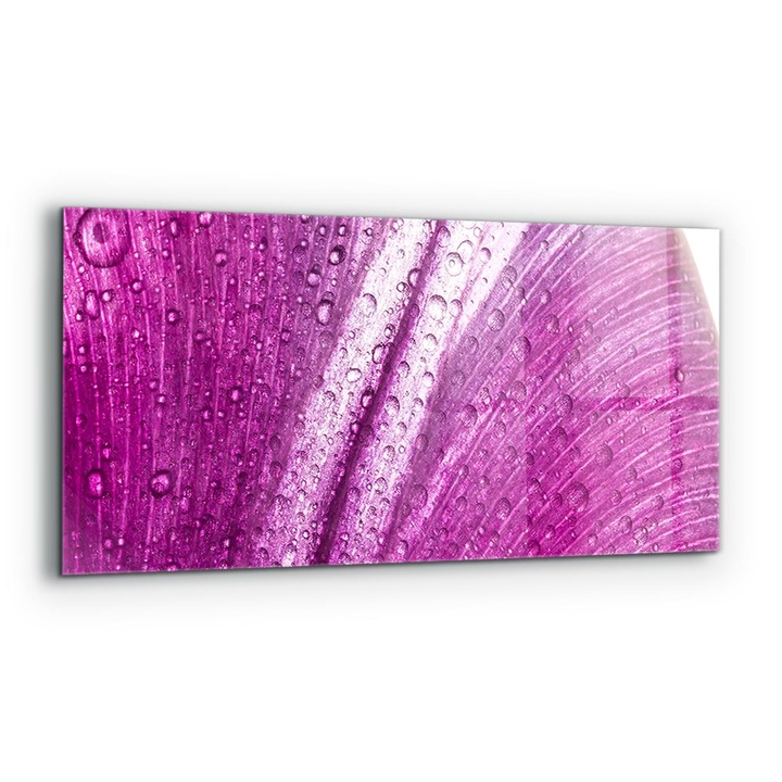 Dekoratív panel, Wallfluent, Üveg, Finom rózsaszín Levél, Többszínű, 125x50 cm, 010010510070000077389