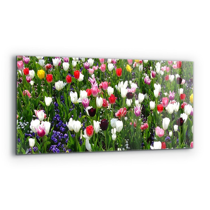 Dekoratív panel, Wallfluent, Üveg, Nyári Réti Virágok, Többszínű, 125x50 cm, 010010510070000077438