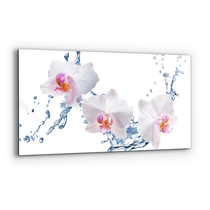 Dekoratív panel, Wallfluent, Üveg, Orchidea Harmatos Víz, Többszínű, 120x60 cm, 010010510050000077368