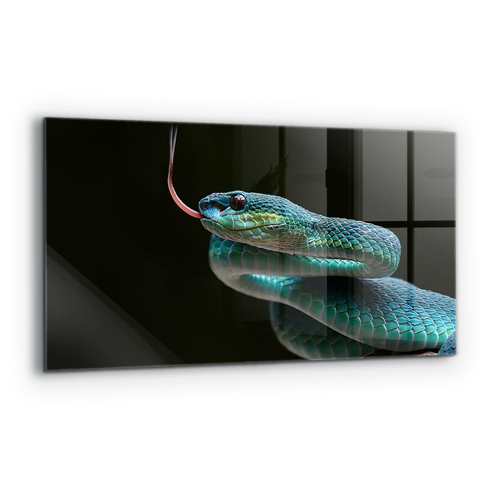 Dekoratív panel, Wallfluent, Üveg, Snake Wildlife, Többszínű, 100x50 cm, 010010510010000077271