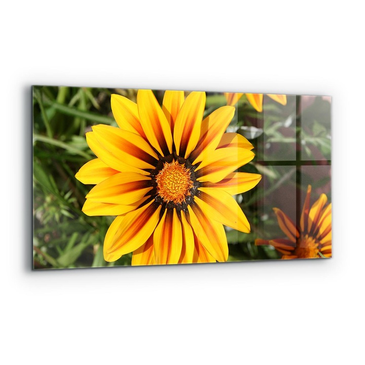 Dekoratív panel, Wallfluent, Üveg, Sárga virág a réten, Többszínű, 140x70 cm, 010010510080000077301