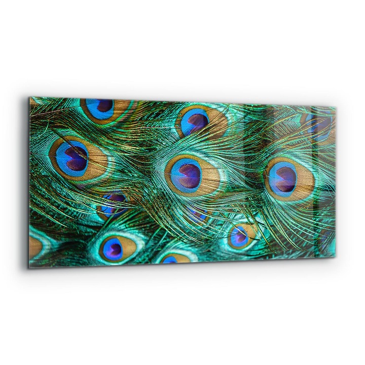 Dekoratív panel, Wallfluent, Üveg, Pávatoll Gyönyörű Természet, Többszínű, 125x50 cm, 010010510070000077167