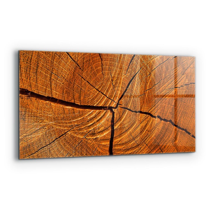 Dekoratív panel, Wallfluent, Üveg, Csomagtartó szerkezet, Többszínű, 120x60 cm, 010010510050000030949