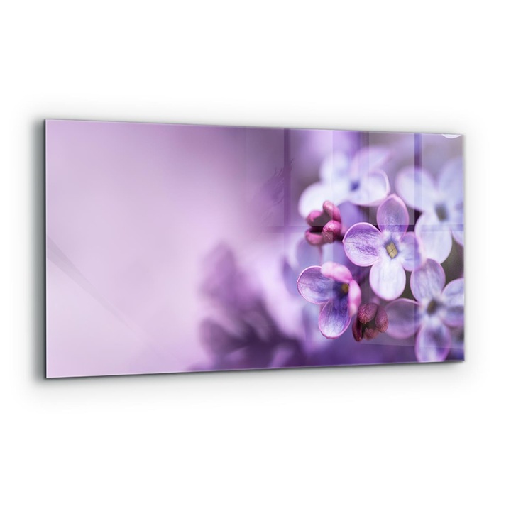 Dekoratív panel, Wallfluent, Üveg, Lila Virágok, Többszínű, 140x70 cm, 010010510080000077242