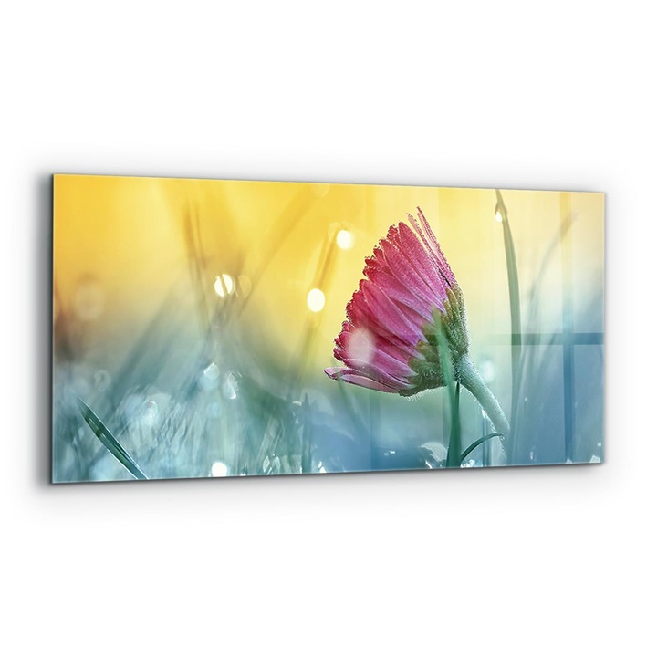 Dekoratív panel, Wallfluent, Üveg, Delicate Daisy In the Meadow, Többszínű, 125x50 cm, 010010510070000077251