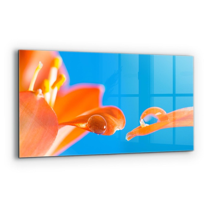Dekoratív panel, Wallfluent, Üveg, Narancsvirág, Többszínű, 140x70 cm, 010010510080000077283