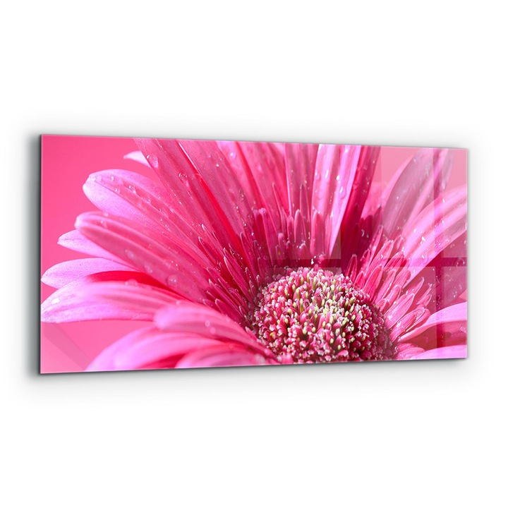 Dekoratív panel, Wallfluent, Üveg, Rózsaszín virág Természet Részletek, Többszínű, 125x50 cm, 010010510070000077381