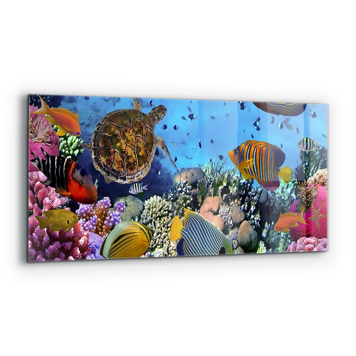 Dekoratív panel, Wallfluent, Üveg, Karibi Korall Barrier, Többszínű, 125x50 cm, 010010510070000077200