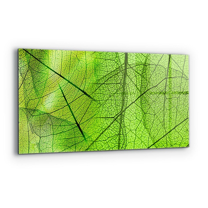 Dekoratív panel, Wallfluent, Üveg, Zöld levelek textúrája, Többszínű, 140x70 cm, 010010510080000077243