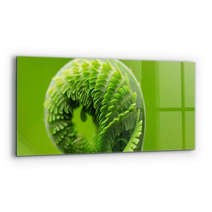 Dekoratív panel, Wallfluent, Üveg, Zöld Páfránylevél, Többszínű, 125x50 cm, 010010510070000077296
