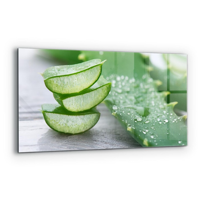 Dekoratív panel, Wallfluent, Üveg, Aloe Aloe Vera Plant, Többszínű, 140x70 cm, 010010510080000077289