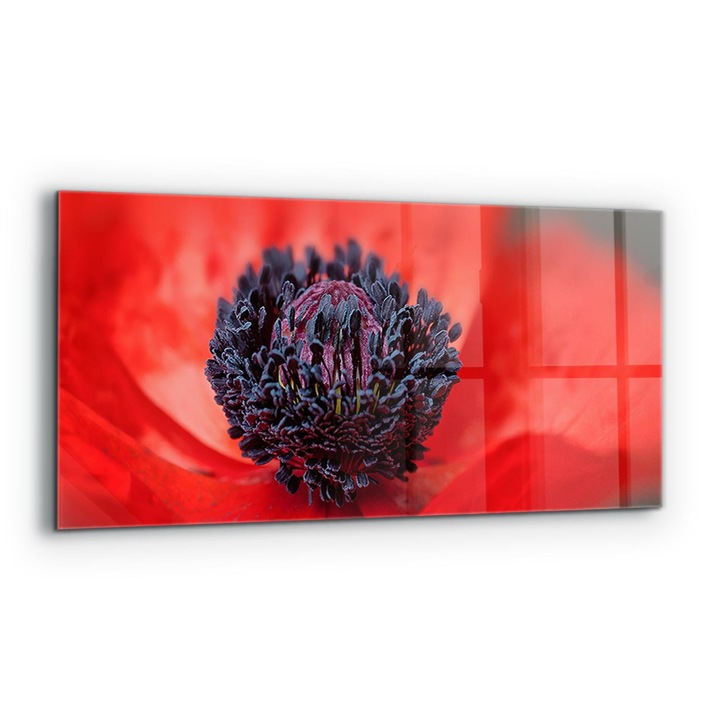 Dekoratív panel, Wallfluent, Üveg, Piros Pipacs Részletek, Többszínű, 125x50 cm, 010010510070000077221