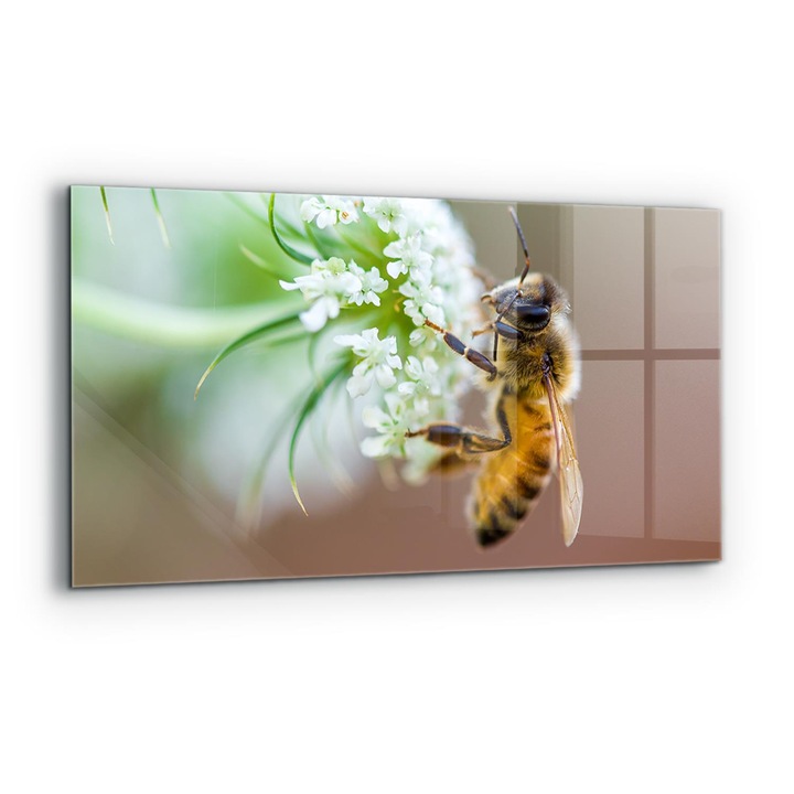 Dekoratív panel, Wallfluent, Üveg, Méhek Pollengyűjtő, Többszínű, 140x70 cm, 010010510080000077304