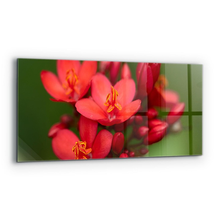 Dekoratív panel, Wallfluent, Üveg, Virágzó virágbimbók, Többszínű, 125x50 cm, 010010510070000077194