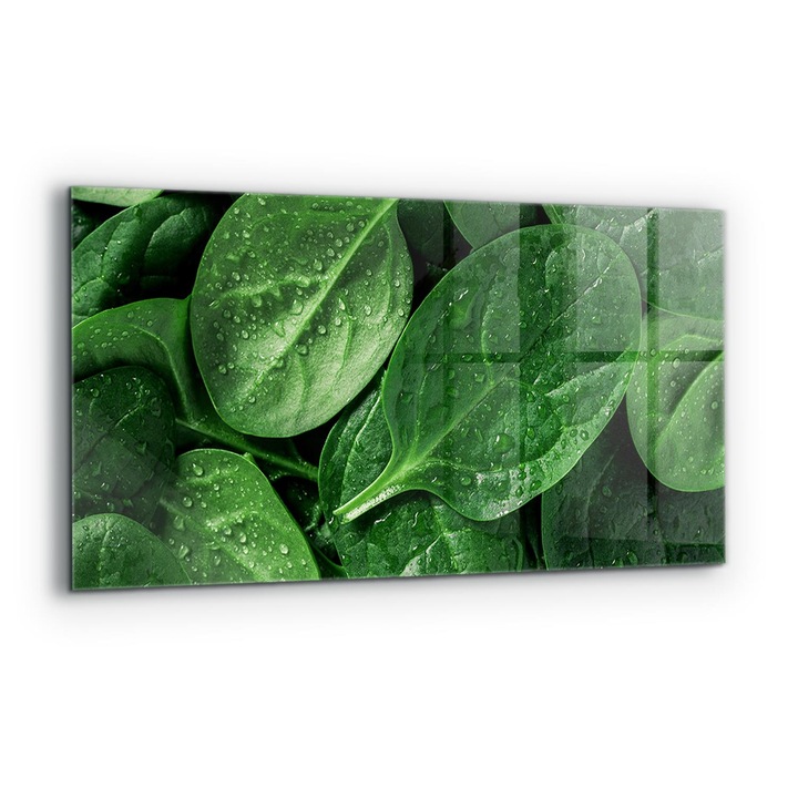 Dekoratív panel, Wallfluent, Üveg, Egészséges Spenót, Többszínű, 120x60 cm, 010010510050000077273