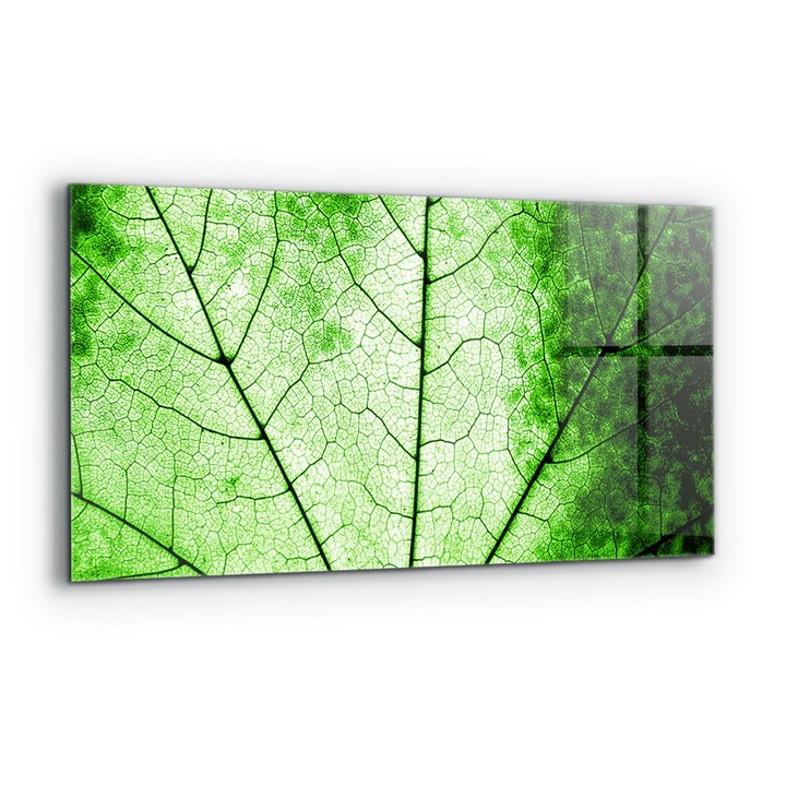 Dekoratív panel, Wallfluent, Üveg, Zöld levelek textúrája, Többszínű, 140x70 cm, 010010510080000077157