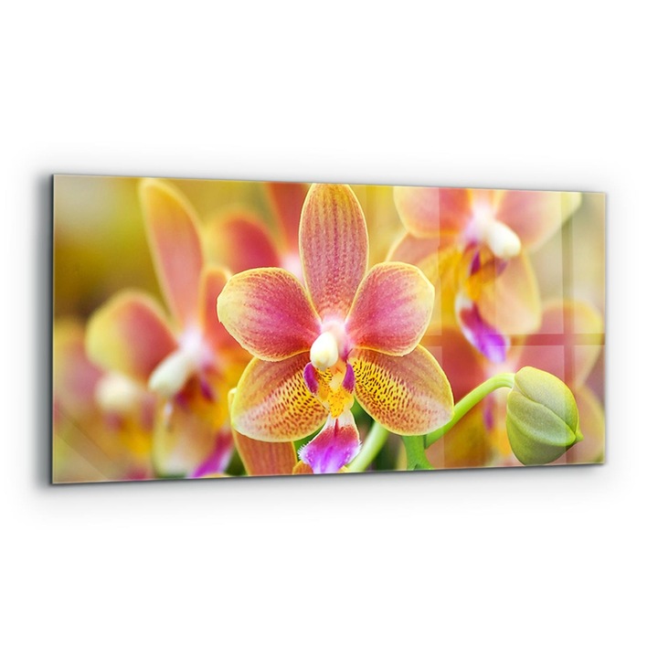 Dekoratív panel, Wallfluent, Üveg, Narancs orchidea, Többszínű, 125x50 cm, 010010510070000077147