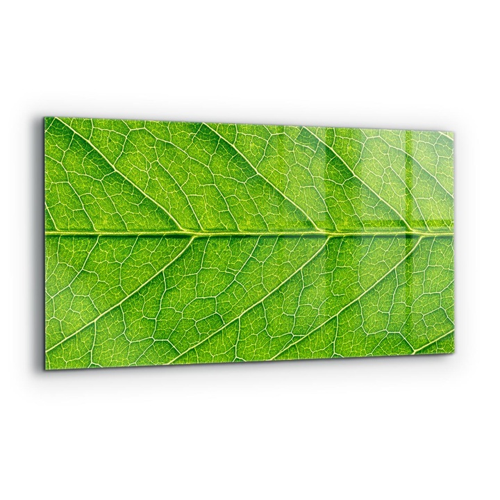 Dekoratív panel, Wallfluent, Üveg, Finom levélrészlet, Többszínű, 140x70 cm, 010010510080000077213