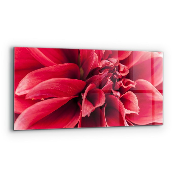 Dekoratív panel, Wallfluent, Üveg, A Természet virágának energikus ereje, Többszínű, 125x50 cm, 010010510070000077379