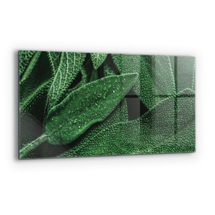 Dekoratív panel, Wallfluent, Üveg, Zöld Levelek Eső után, Többszínű, 140x70 cm, 010010510080000077272