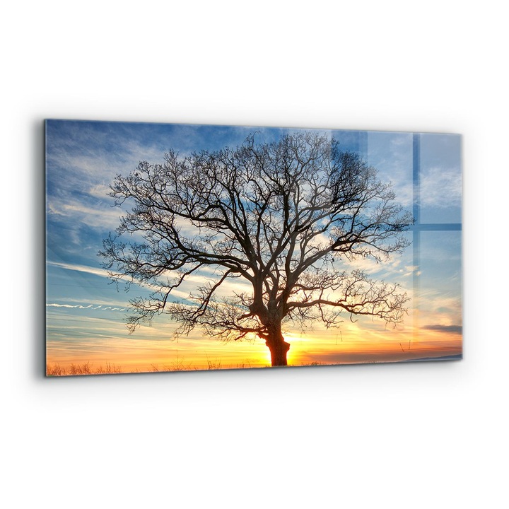 Dekoratív panel, Wallfluent, Üveg, Reggeli Réti Táj, Többszínű, 100x50 cm, 010010510010000077209